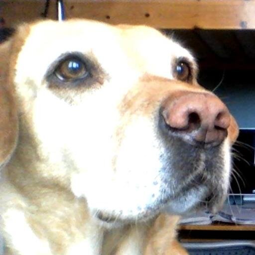 mum248's profile picture. 