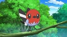(#661: Tiny Robin pokemon, Normal/flying type. Level 4. Moves: Quick attack, Peck, acrobatics, steel wing. Trainer: @KalosAsh.)  (RP)