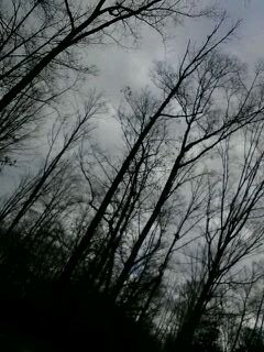 jmuspeechpath's profile picture. 