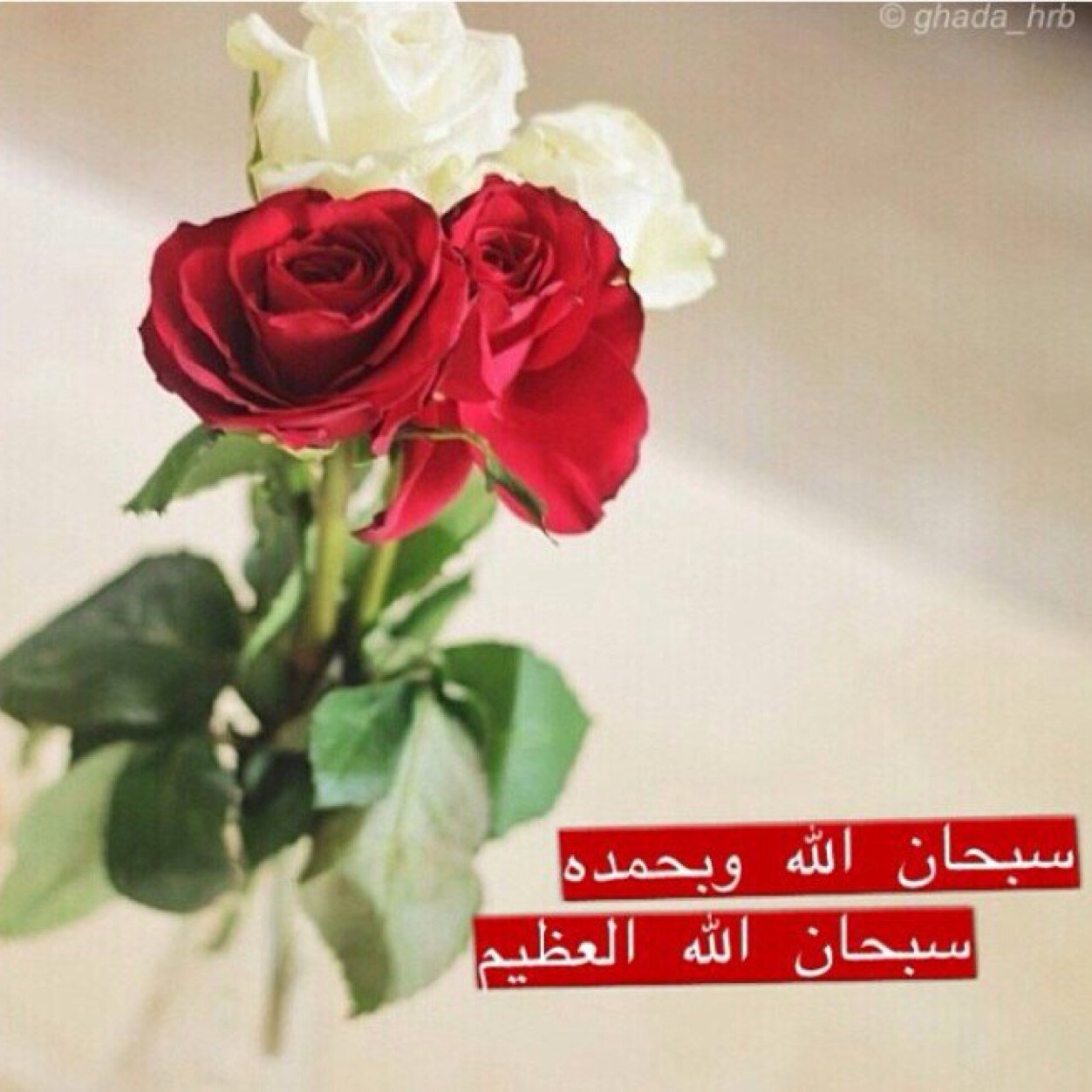 آلرضى :بمآ كتب آلله هو نصف آلرآحه فِ هذه آلدنيآ ♡