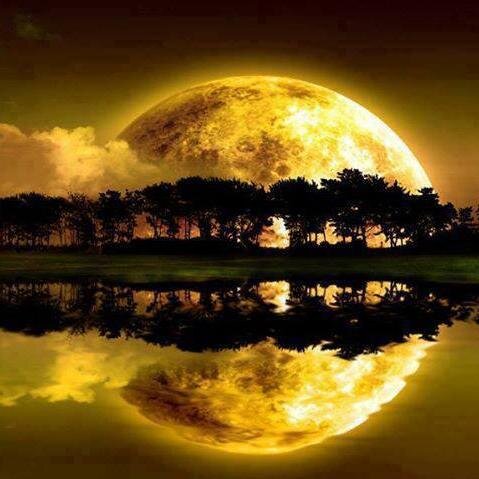 hasanankakusu's profile picture. 