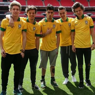 CesarinoAmanda's profile picture. Love you One Direction 1D