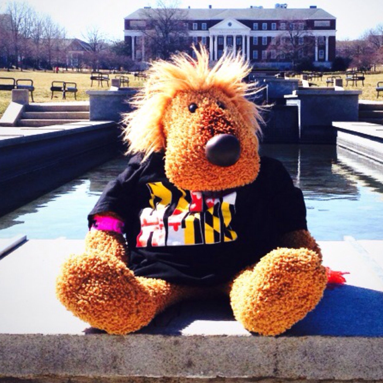 I'm the Spirit of Alphie for District III of Alpha Delta Pi! I'm currently spending the year with the Beta Phi Chapter and want to share my experiences!