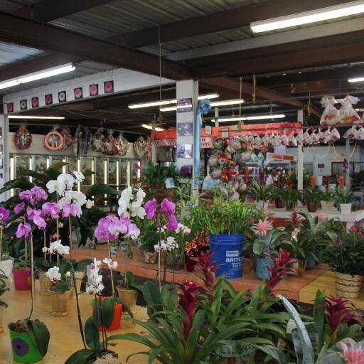 Beatrice J. Peraza Fannin Flowers Houston Tx Fannin Flowers Inc The