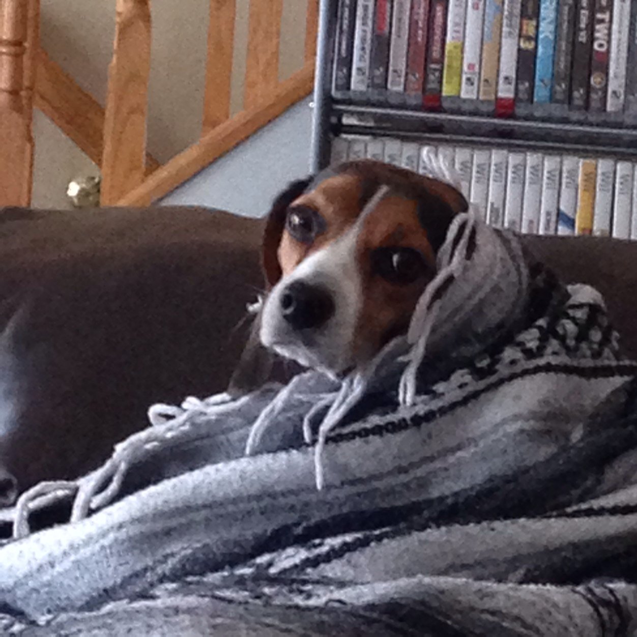 MicheleMeeks2's profile picture. 