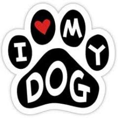 YorkeysWalkeys's profile picture. Professional Dog Walker and Behavior Specialist
http://t.co/8IUNa94WnU