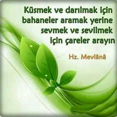 vugarmemmedov1's profile picture. 