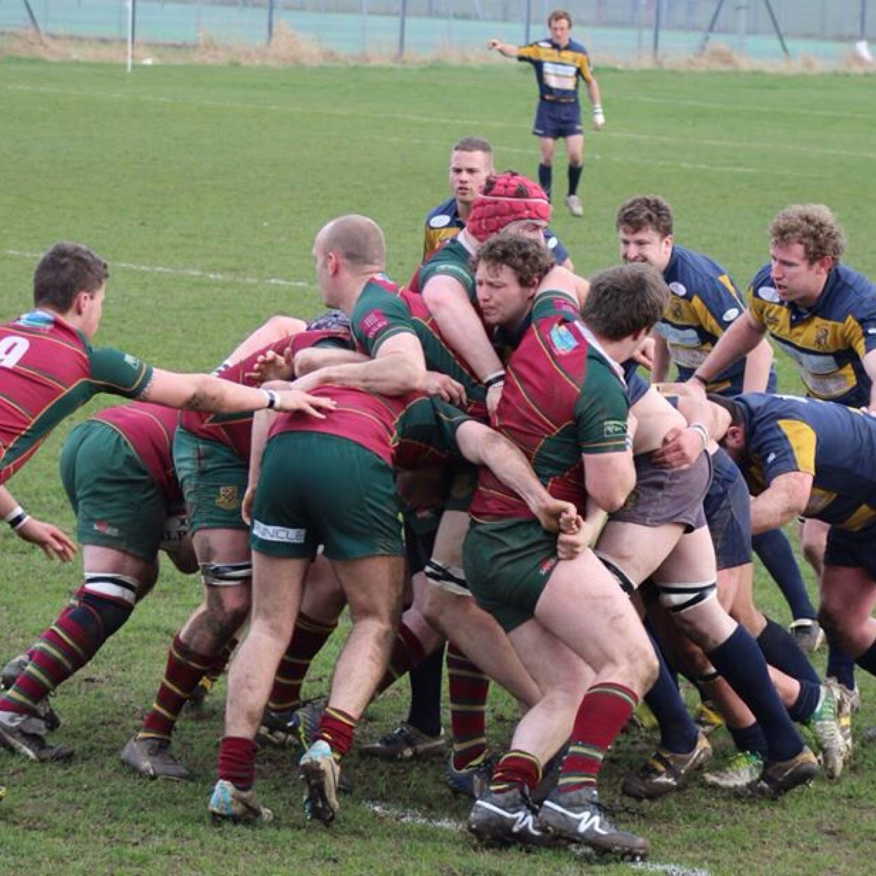 0Cappers's profile picture. 