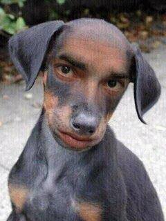 elsonoro27's profile picture. 