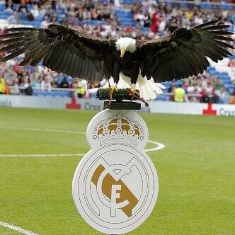 I love Real Madrid madness reduce a club favorite, and the best player in the world to print Ronaldo.