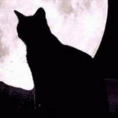 mmunnoz74's profile picture. Shrink & Geek