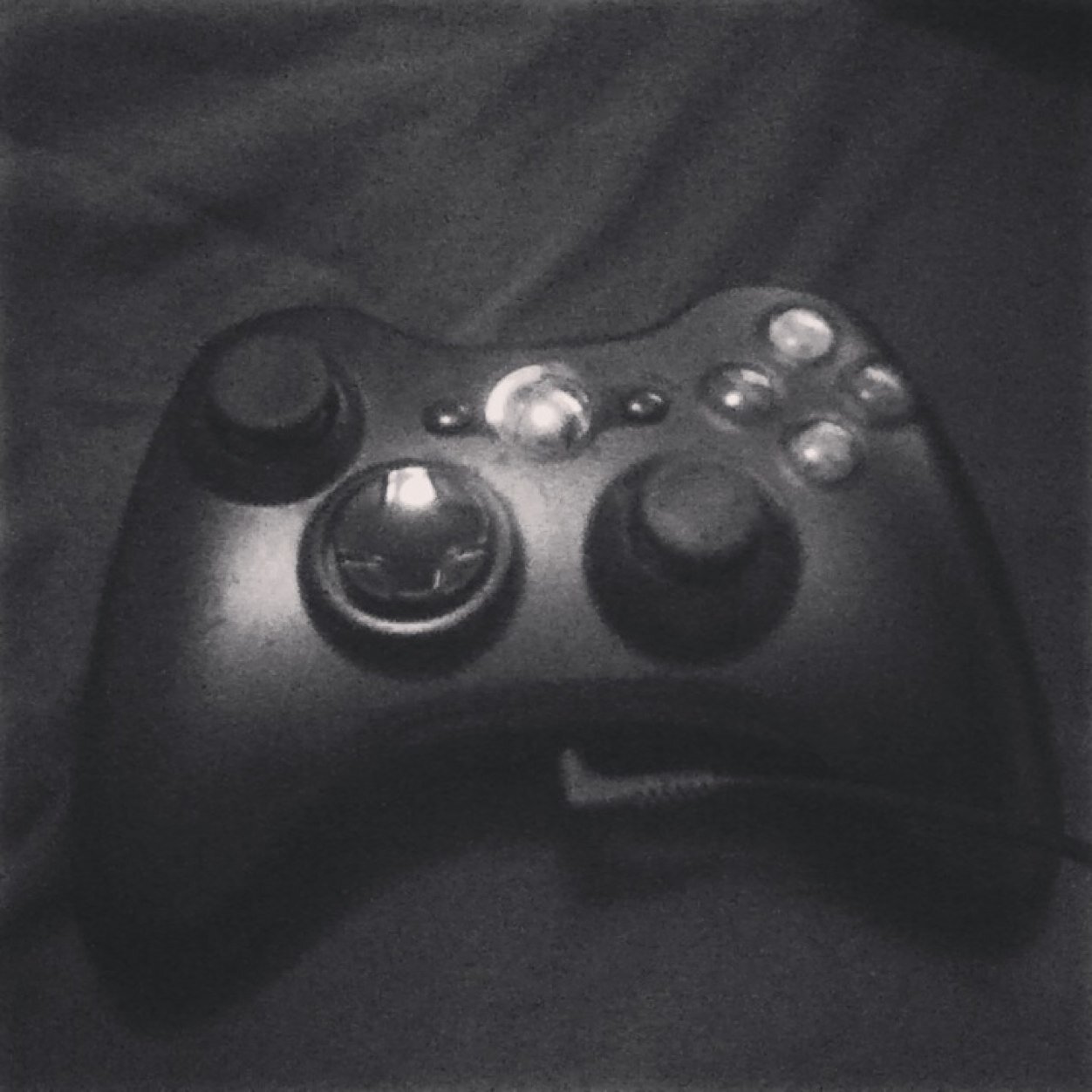 dtampylongnose's profile picture. لنددستزمميقتذرملبتن بنالن بتنوز بنخ باخمتدعو ليفنتال اينورًـ.