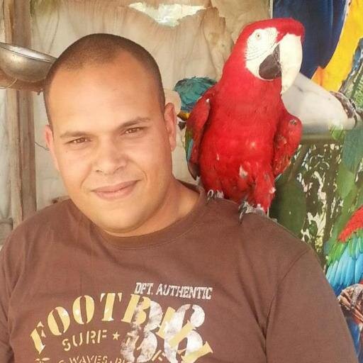 Animals trainer ( dogs- parrots -Hamster ) & birds breeder, official page http://t.co/6Ji2HLvxS7