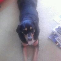 Plouto T (@ploutot) 's Twitter Profile