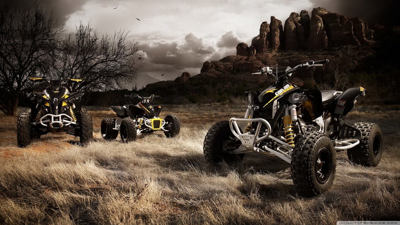 TexasPaintballl's profile picture. paintball,atv safari