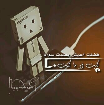 يَحدُث أنّي بكِ كُنتُ أهِيم ، وأنّي دونُكِ يُظنُّ بأنّي يَتيم ، إلىٰ أن إنتَهىٰ بي المَطاف ، وقيلَ عنّي أنّي بالحُبّ عقِيم '