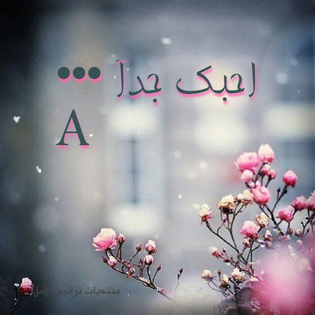 ربي ارح بال امي ، واسعدها بقدر السموات السبع / وارحم ابي ووسع له في قبره وجميع اموات المسلمين . .♡