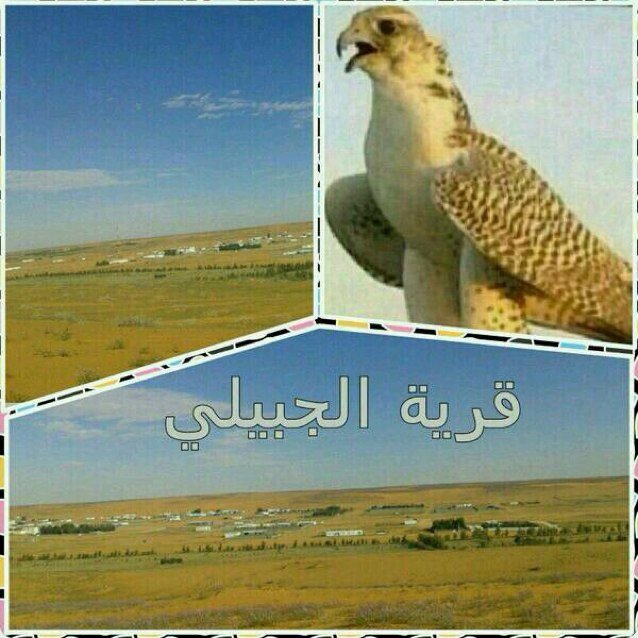 قرية الجبيلي الواقعة شمال حائل نتشرف بمتابعتكم وزيارتكم .... الحساب الرسمي للقرية