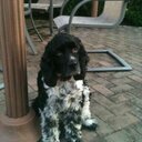 Kim Caines - @houseagent99 - Twitter