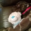 darren kirk - @dazykirk - Twitter