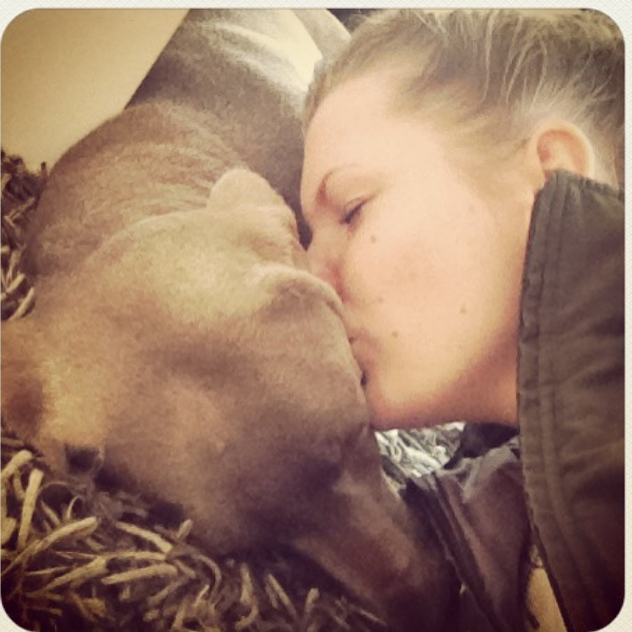 SanneTesselaar's profile picture. Geweun n meadje oet Bor^^ ~Trevianum~Havo~@L'union~Horse riding