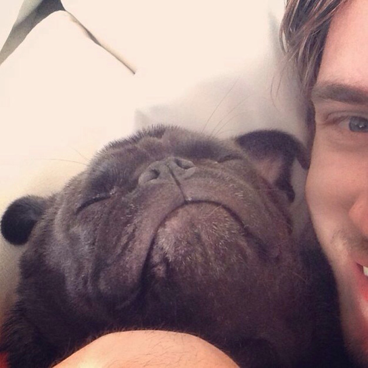 Twittorpets's profile picture. 