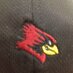 De Pere Softball (@deperesoftball) Twitter profile photo