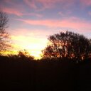 Calvin Day - @CalvinDay1998 - Twitter