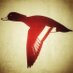 TimDuck (@thetimduck) Twitter profile photo