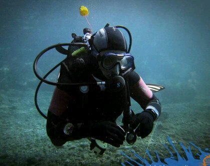 Estudiante de Biología en la Universidad de La Laguna.
Guitarrista y apasionado del mundo marino.
