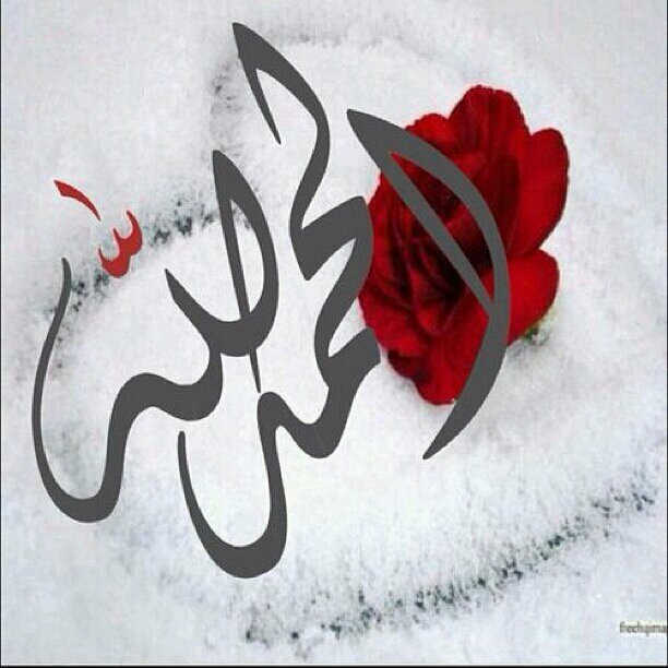 اﻷخْـﻼَق  تَكفِيكَك لِتَكونَ جَميـﻼً وَ بِأرقَى دَرجَات الجَمَال***