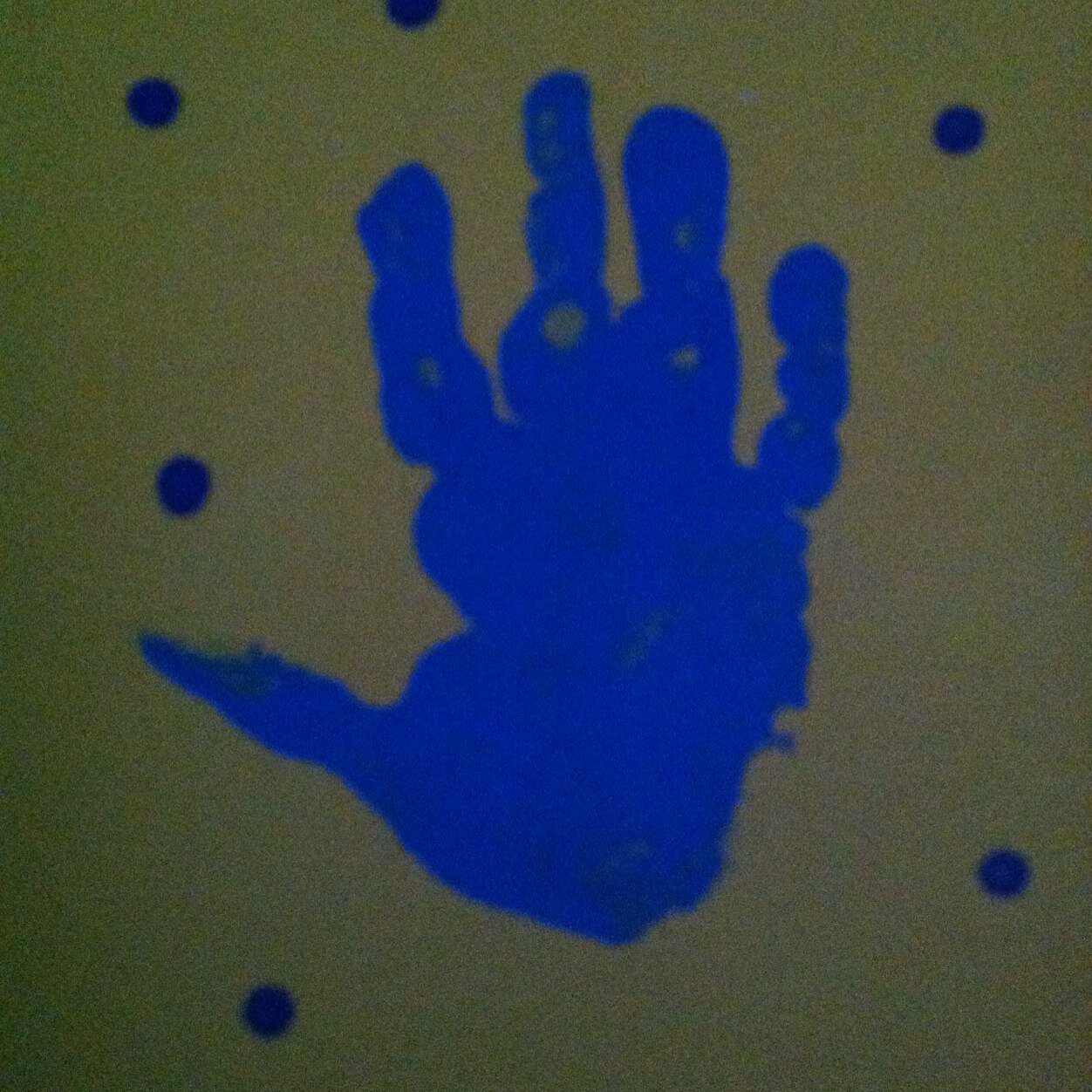 KimballLaurie's profile picture. 