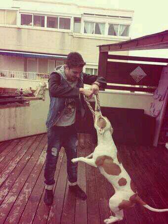 ImNotAWarrior23's profile picture. FAV:Sonia SWC, 6 Ingrid, 5 CRITIKA, Carlos Parejo.RT:Tony Aguilar, Blanca Suarez y Fraag Malas. Tony me contesto.