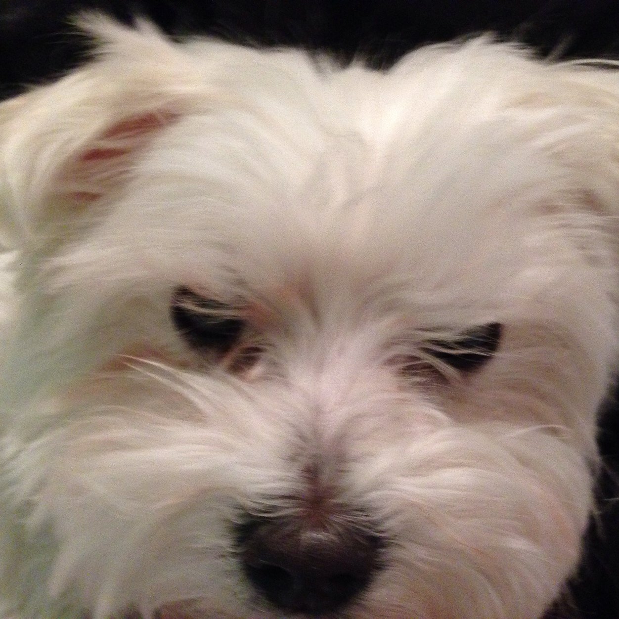 ANNE17000's profile picture. 