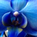 Teri Knight - @Teri_Knight_ - Twitter