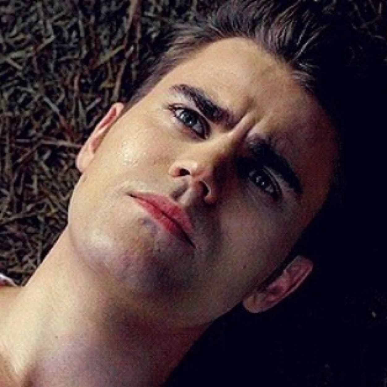 i just gave you a free follow, please follow @fand0mlove, xoxo