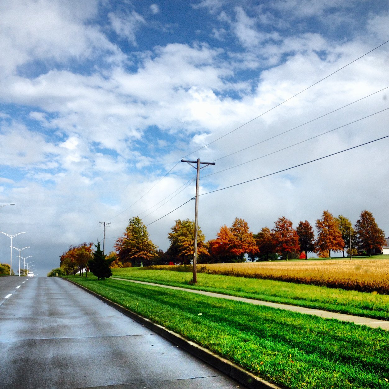 campbell0515's profile picture. 