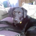 Kate Rutkowski - @rutkowskikate - Twitter