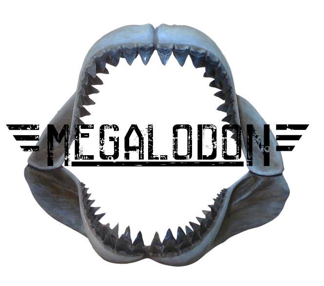 this is the official megalodon's twitter account, here you will find our latest news, tracks and show dates.