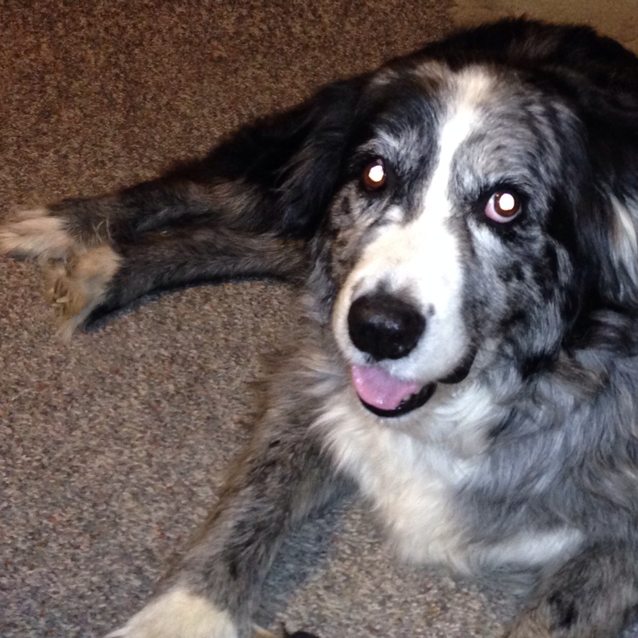 DatcatDaa's profile picture. , love sports and am married to a very beautiful woman