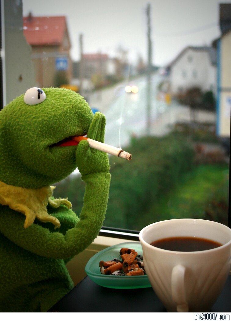 Kermit_Rom's profile picture. 