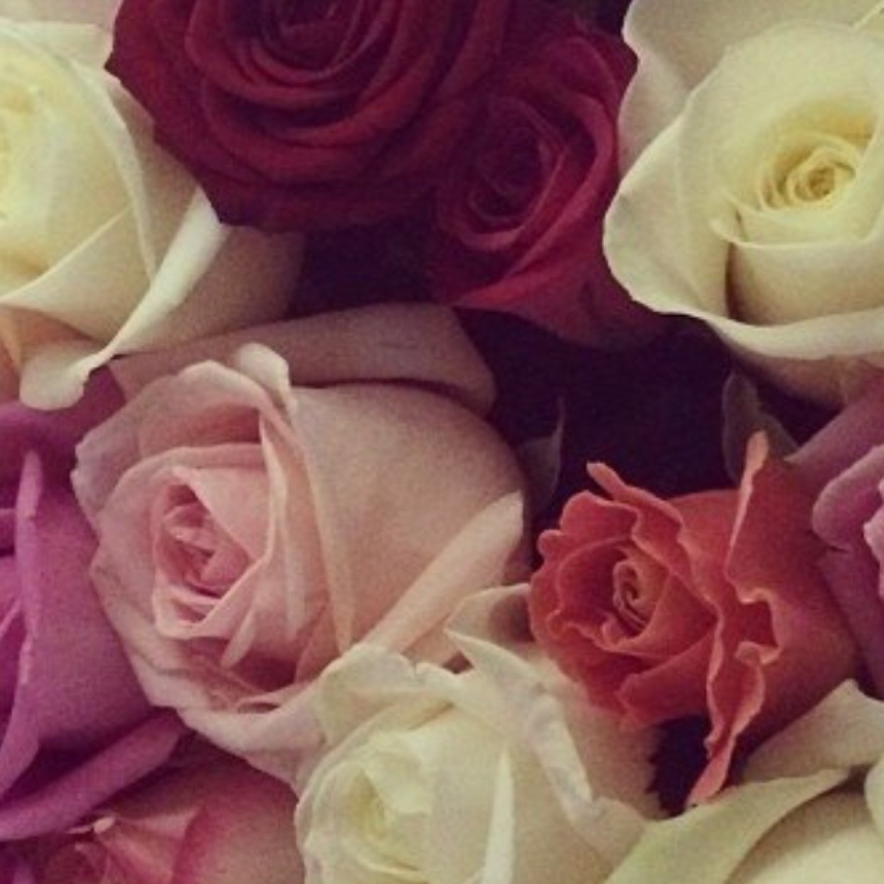 mym7259's profile picture. 