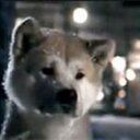 berenice moreno  - @bere1moreno - Twitter