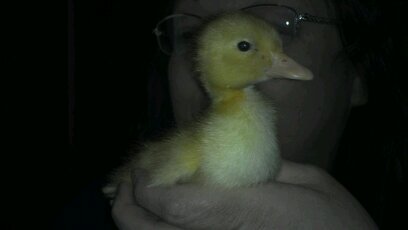 breko65's profile picture. 