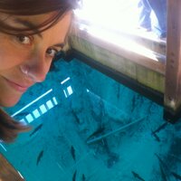 Danielle R. Gartner (@danydoodledo) 's Twitter Profile