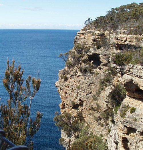 twaveltwita's profile picture. I've got the twavel bug