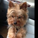 Nancy Hoy - @nancyahoy - Twitter