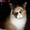 Megan Pieper - @MegapiepPieper - Twitter