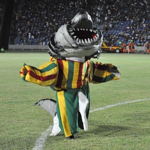 Sampaio Corrêa!Não importa o que digam, sempre te levarei comigo.