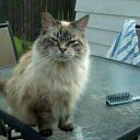 Shawn Carnes - @getwaxxed16 - Twitter